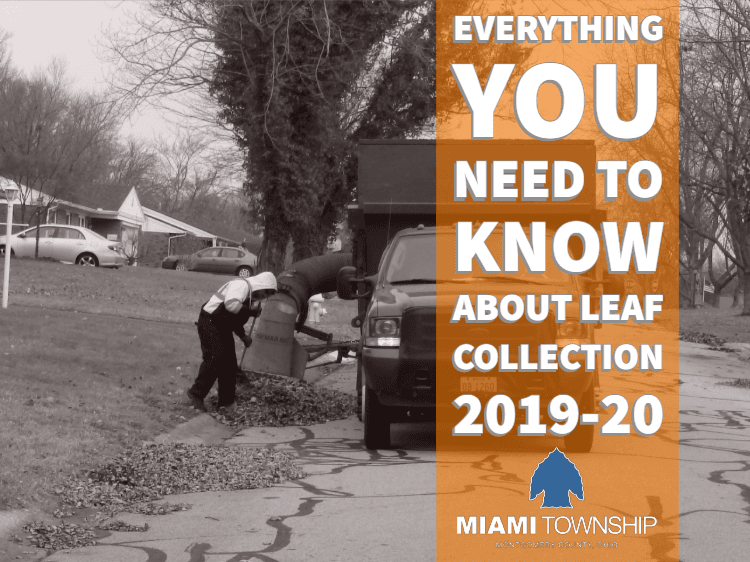 Leaf Collection 2019-20