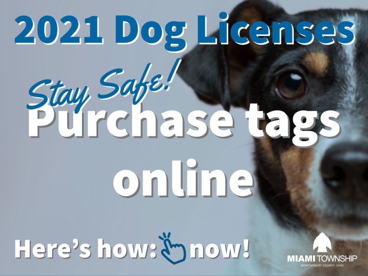 Dog licenses 2021
