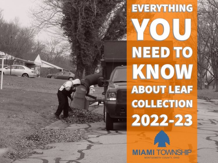 Leaf Collection 2021-20-1