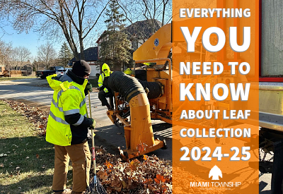 Leaf Collection 2024-25