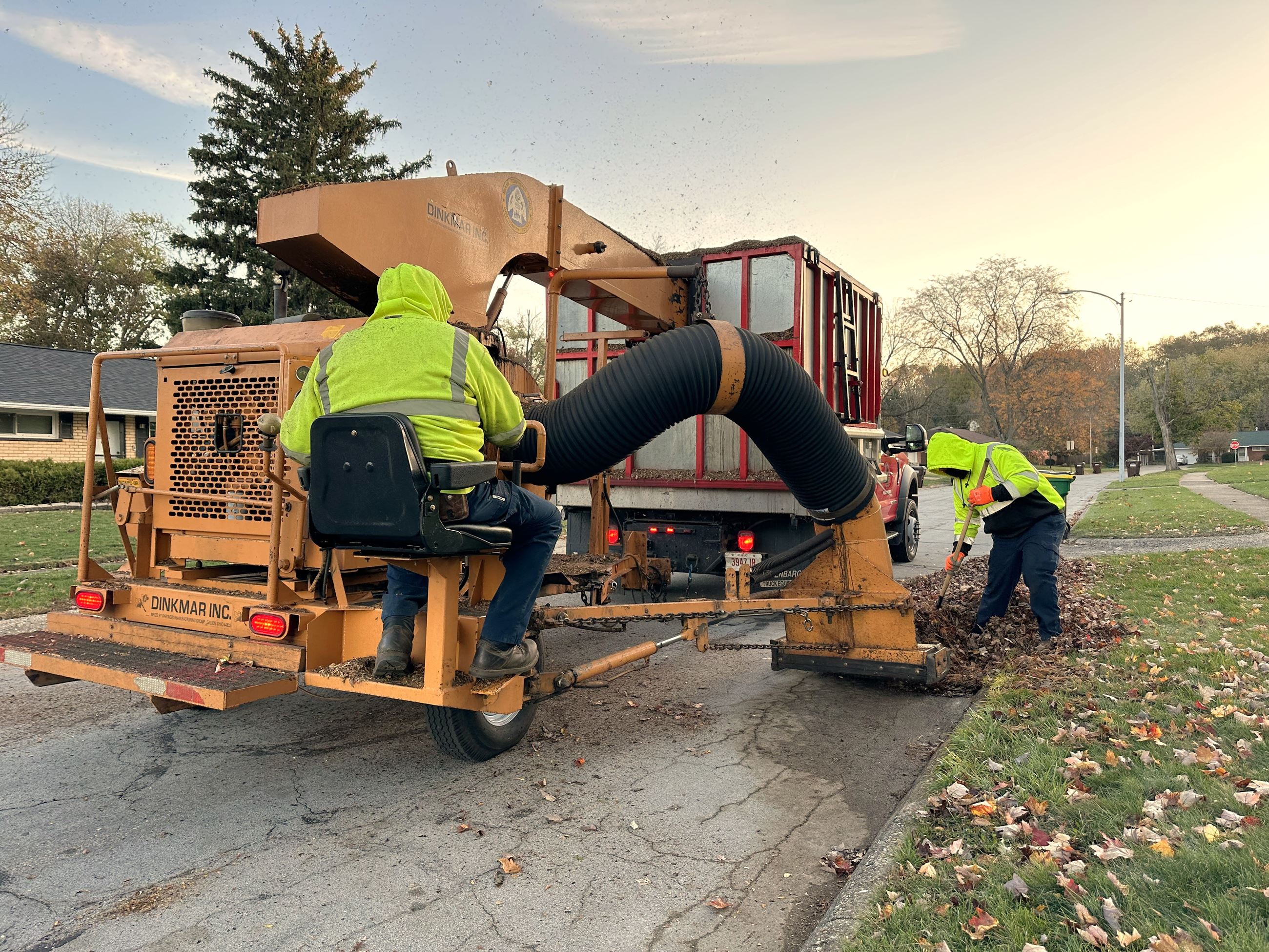 2023 Leaf Collection 1