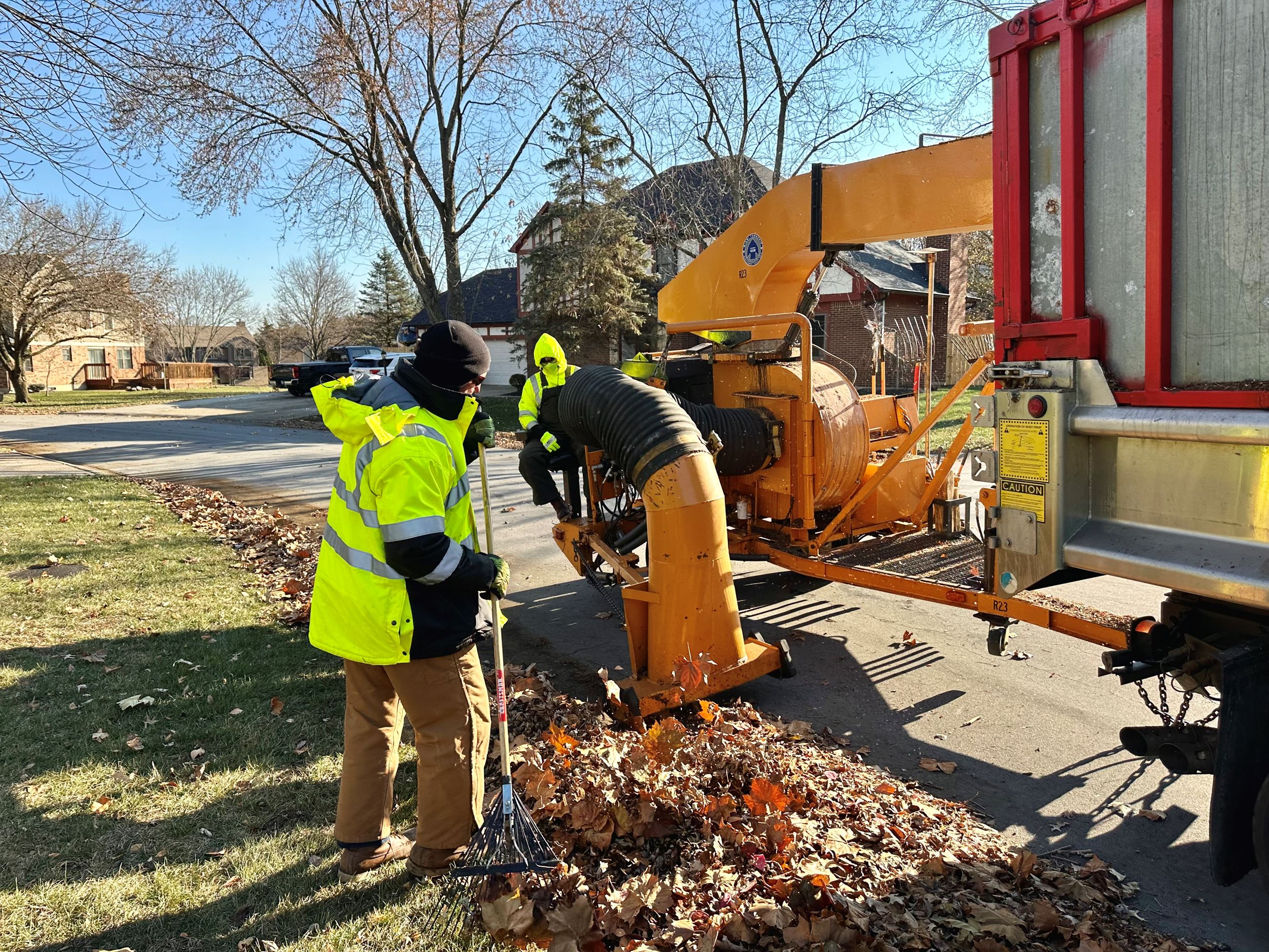 2023 leaf Collection 3